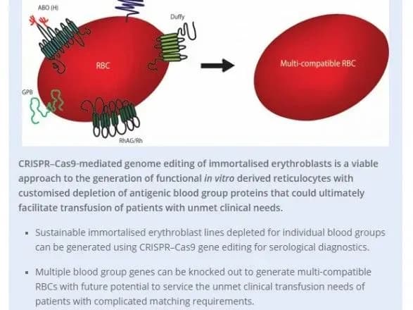 dlya-protseduri-perelivannya-biologi-zmozhut-redaguvati-krov