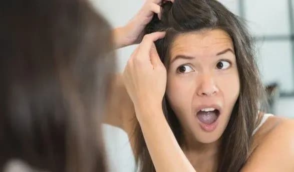 vcheni-vinayshli-novi-liki-vid-oblisinnya