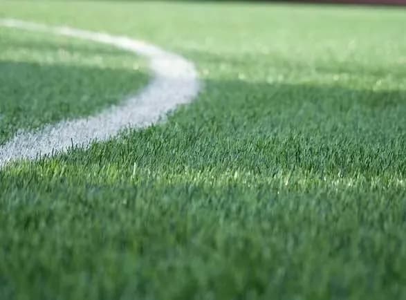trava-vid-pavelka-dlya-futbolnikh-poliv-obiyshlasya-ukrayintsyam-utridoroga-zmi