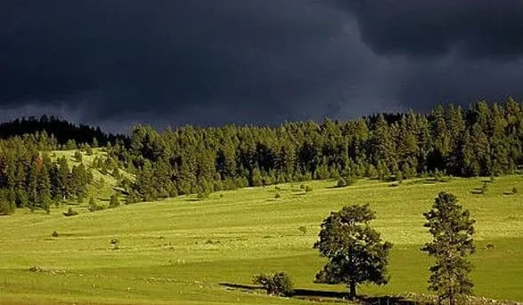 shtormove-poperedzhennya-na-karpati-nasuvayetsya-tsiklon