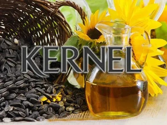 kernel-povidomiv-pro-seryozni-zbitki