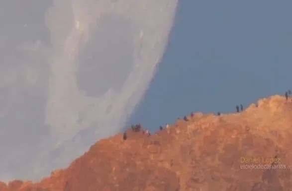 internet-khit-gigantskiy-misyats-vraziv-merezhu