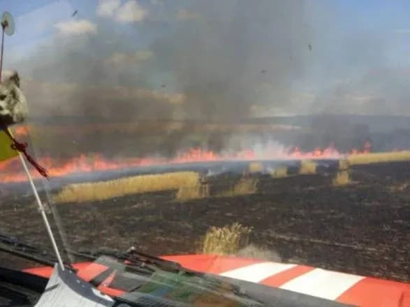 na-poltavschini-bagattya-vipalilo-ponad-40-ga-pshenichnogo-polya