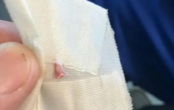 akula-napala-na-dvokh-ditey-u-ssha