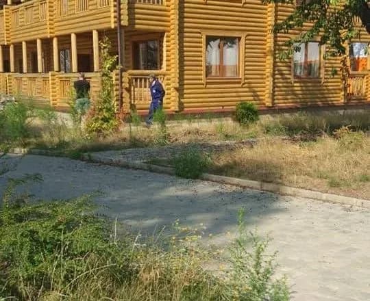 ekspertiza-u-tabori-viktoriya-na-zgarischi-znaydeno-reshtki-kistok