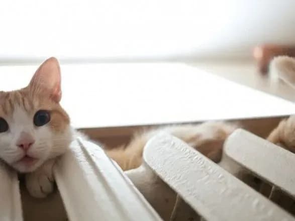 uryad-planuye-zatverditi-plan-zakhodiv-z-pidgotovki-pek-do-opalyuvalnogo-sezonu