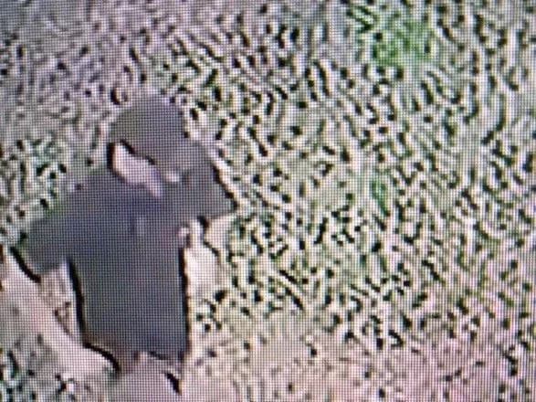 lutsenko-kontrolyuvatime-spravu-schodo-napadu-na-spivrobitnitsyu-meriyi-khersona