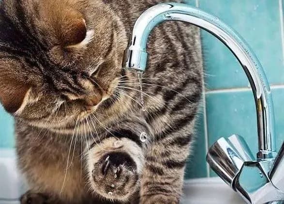 u-kiyevi-cherez-avariyi-bez-kholodnoyi-vodi-zalishilisya-visim-vulits