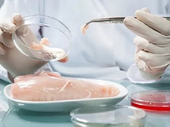 areshtantiv-na-zhitomirschini-goduvali-myasom-z-salmoneloyu