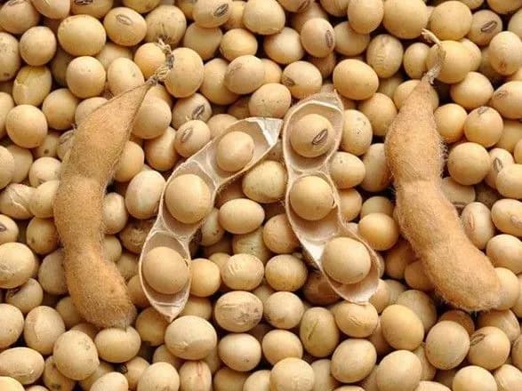 prezident-dosi-ne-pidpisav-soyevi-pravki