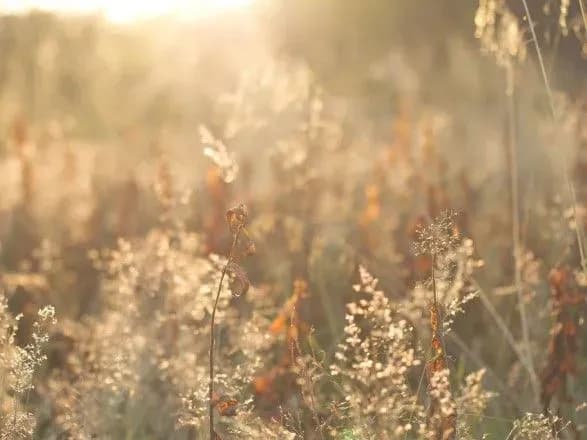 sinoptiki-dali-prognoz-na-veresen