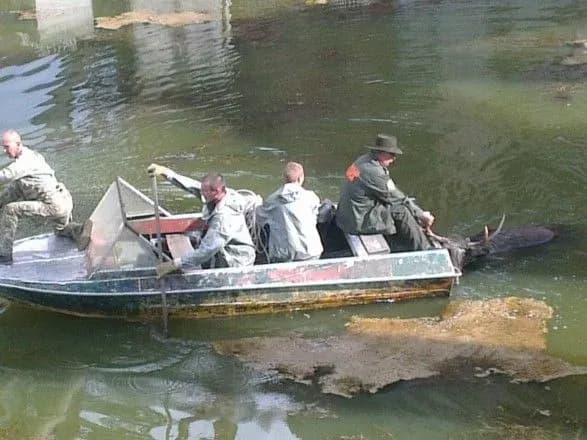 iz-vidstiynika-okholodzhuvacha-energobloku-na-chaes-vityagli-losya