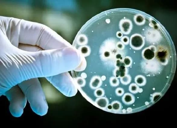 v-ukrayini-tsogo-roku-zareyestruvali-vzhe-3-vipadki-zakhvoryuvannya-na-likhomanku-zakhidnogo-nilu