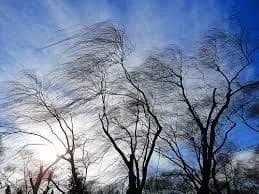 na-lvivschini-pid-chas-negodi-gilka-vbila-cholovika