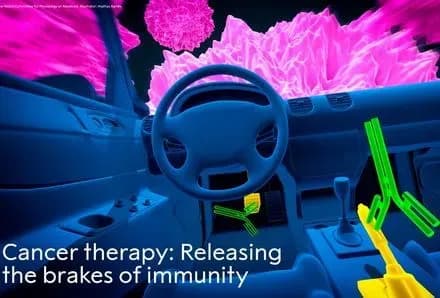 nobelivsku-premiyu-z-meditsini-prisudili-za-dosyagnennya-v-borotbi-z-onkologiyeyu