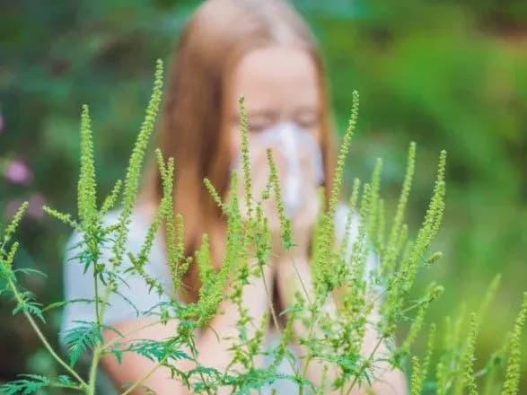 alergologi-oprilyudnili-prognoz-na-tizhden-dlya-ukrayintsiv-1