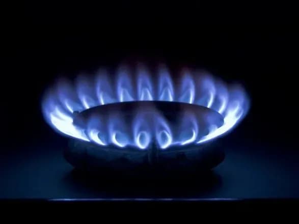 v-uryadi-nazvali-naybilshikh-borzhnikiv-za-gaz