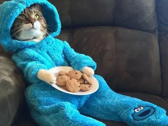 zmi-posolstvo-ssha-v-avstraliyi-vipadkovo-rozislalo-zaproshennya-na-neisnuyuchu-vechirku