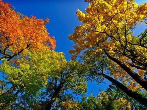 temperatura-povitrya-v-kiyevi-pobila-rekord-1916-roku