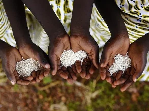 mizhnarodna-silskogospodarska-organizatsiya-poperedila-pro-rizik-golodu-cherez-zminu-klimatu