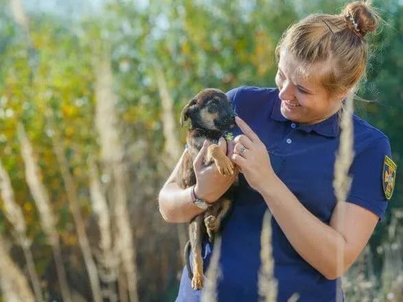 sered-ukrayinskikh-ryatuvalnikiv-shiritsya-fleshmob-na-pidtrimku-bezpritulnikh-tvarin