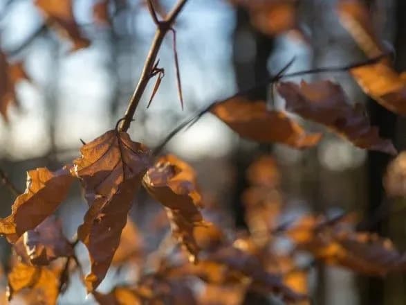sinoptiki-poradili-odyagatisya-teplishe-na-ukrayinu-sunut-doschi-i-mokriy-snig