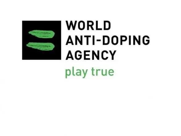 u-shveytsariyi-zatrimali-dvokh-gromadyan-rf-za-plani-khakerskoyi-ataki-na-wada