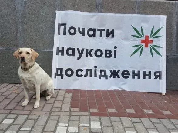 kiyevom-proyshov-konoplyaniy-marsh