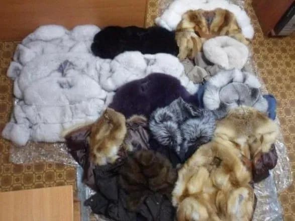 u-moskovskomu-poyizdi-providnik-viz-15-shub-iz-lisits-ta-pestsiv