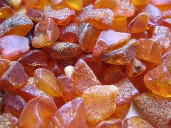 u-rivnomu-vikrili-mayzhe-50-kg-burshtinu