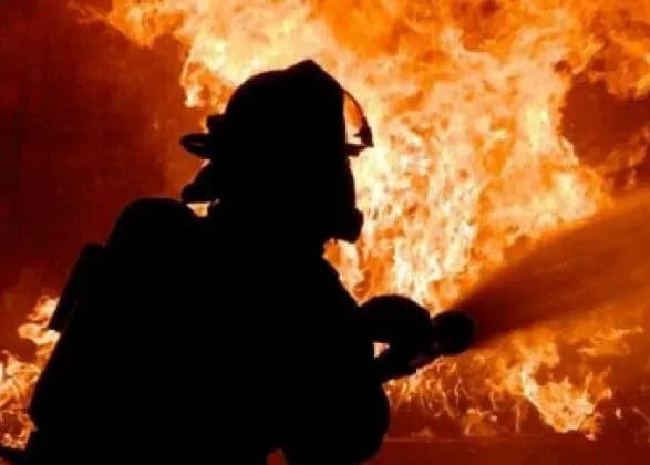 u-odesi-gorila-nova-poshta