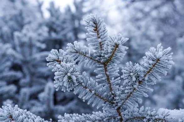 sogodni-v-ukrayini-do-8-gradusiv-morozu-na-dorogakh-ozheleditsya