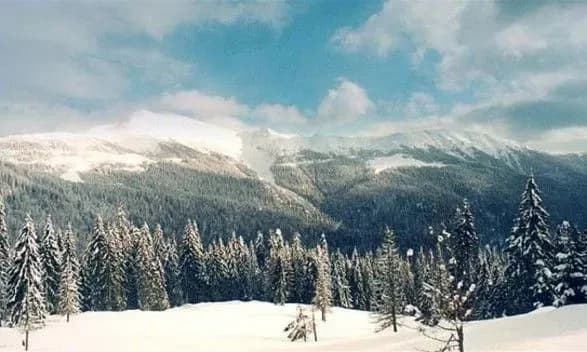 zniknennya-turistiv-v-karpatakh-znaydeno-pershe-tilo