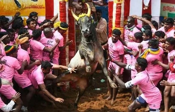 dvoye-lyudey-zaginuli-na-koridi-v-indiyi