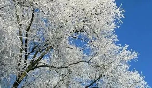 zavtra-v-ukrayini-ochikuyetsya-do-11-gradusiv-morozu