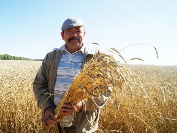 torik-zarplata-agrariyiv-ta-kharchovikiv-virosla-mayzhe-na-chvert