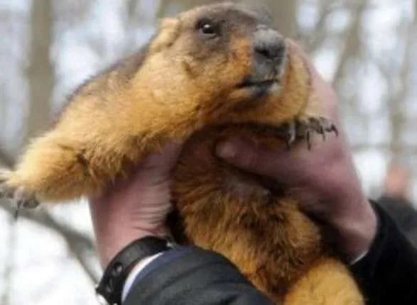 babak-timko-iii-peredbachiv-khto-posyade-zalizniy-tron-v-seriali-gra-prestoliv