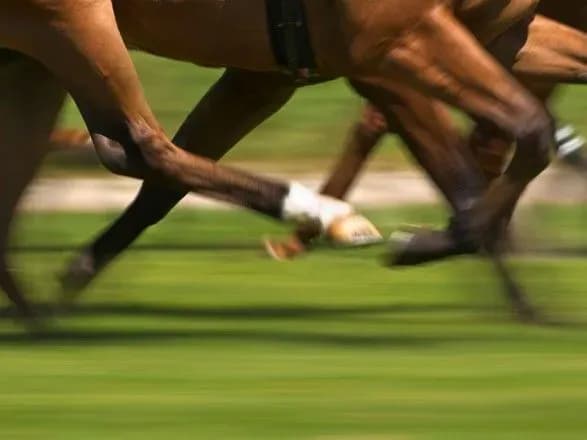 cherez-spalakh-kinskogo-gripu-u-britaniyi-pripinili-skachki