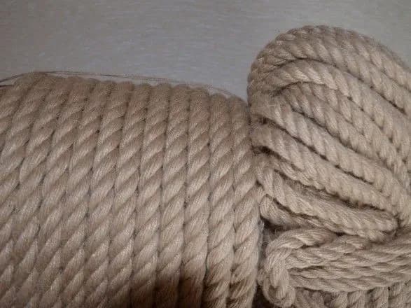 privyazaniy-do-dereva-trup-znayshli-mizh-selami-na-zhitomirschini