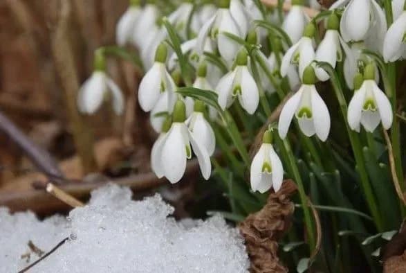 sinoptiki-dali-prognoz-na-pershi-dni-vesni