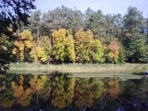 prokuratura-viznala-nezakonnim-budivnitstvo-u-natsparku-golosiivskiy