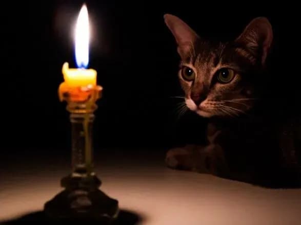 cherez-silniy-viter-na-lvivschini-bez-svitla-zalishilos-19-naselenikh-punktiv