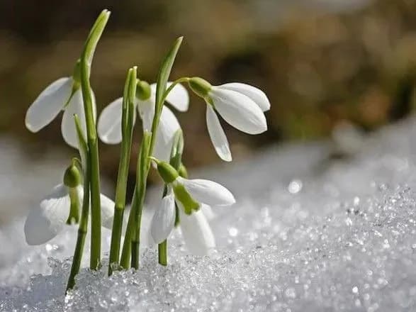 sinoptiki-dali-prognoz-pogodi-na-zavtra-1