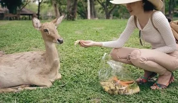 8-bereznya-zhinki-zmozhut-bezkoshtovno-vidvidati-kiyivskiy-zoopark-1