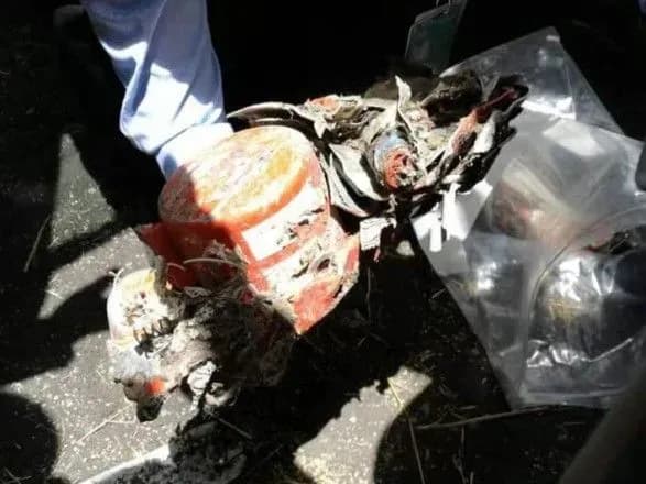 efiopiya-mozhe-viddati-chornu-skrinku-z-rozbitogo-litaka-do-yevropi