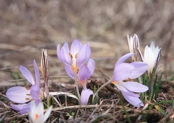 zhiteli-kiyivschini-vzhe-zavtra-vidchuyut-poteplinnya