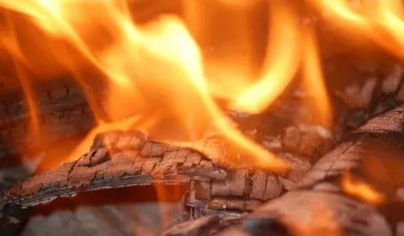 na-uzbichchi-dorogi-na-kiyivschini-znayshli-obgoriliy-trup-lyudini