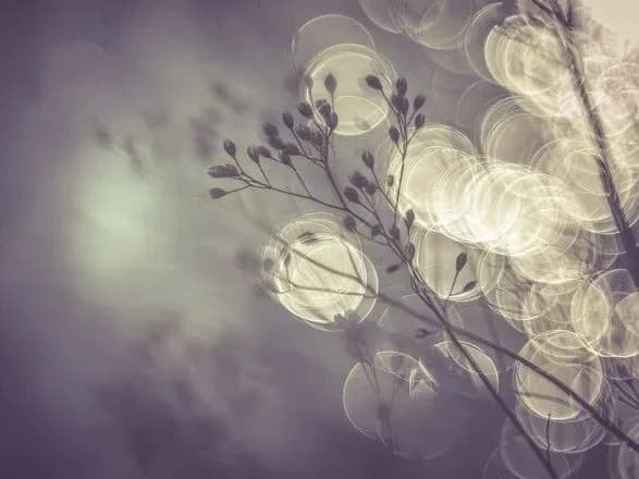 sogodni-v-ukrayini-povitrya-progriyetsya-do-14-gradusiv-tepla-1