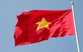 vyetnamtsya-zasudzheno-na-dva-roki-vyaznitsi-za-antiderzhavnu-propagandu-u-facebook