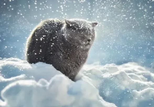 mokriy-snig-ta-dosch-sinoptiki-dali-prognoz-pogodi-na-zavtra